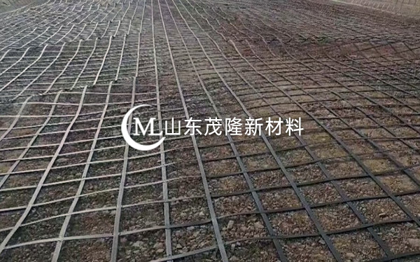 雙向拉伸塑料土工格柵  第2張