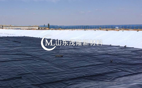 《衡水主城區(qū)生態(tài)修復(fù)工程》土工布、復(fù)合土工布施工