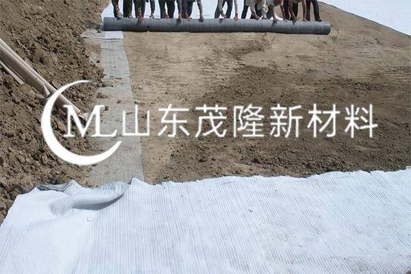 《北海洪湖水庫(kù)工程項(xiàng)目》防水毯施工